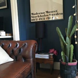 leather chesterfield and cactus in dark blue living room