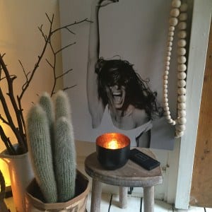 cactus, candles and a print