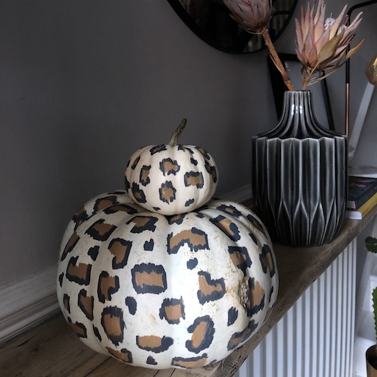Leopard Print Pumpkins
